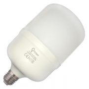 Лампа светодиодная FL-LED T100 30W 6400К 220V-240V 2800lm E27 (+ переходник E40) дневной свет